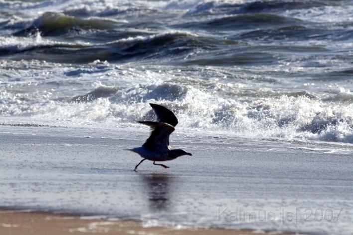 Die Moeve 11.jpg - Start